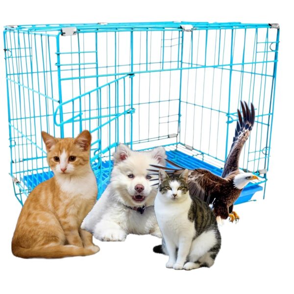 AARAM CHARPAI UDYOG Small Dog Cage 18 Inch | Foldable Metal Wire Pet Crate with Removable Tray | Single Door Portable Kennel (Blue)